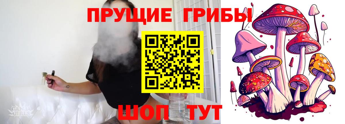 Псилоцибиновые грибы Magic Shrooms  Вход с VPN  Елабуга 